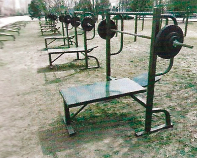 TY-JJ16 臥推訓(xùn)練